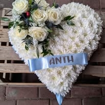 Anthony's Heart