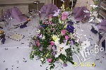 Lilac Blush 15