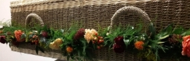 Falda Apricot